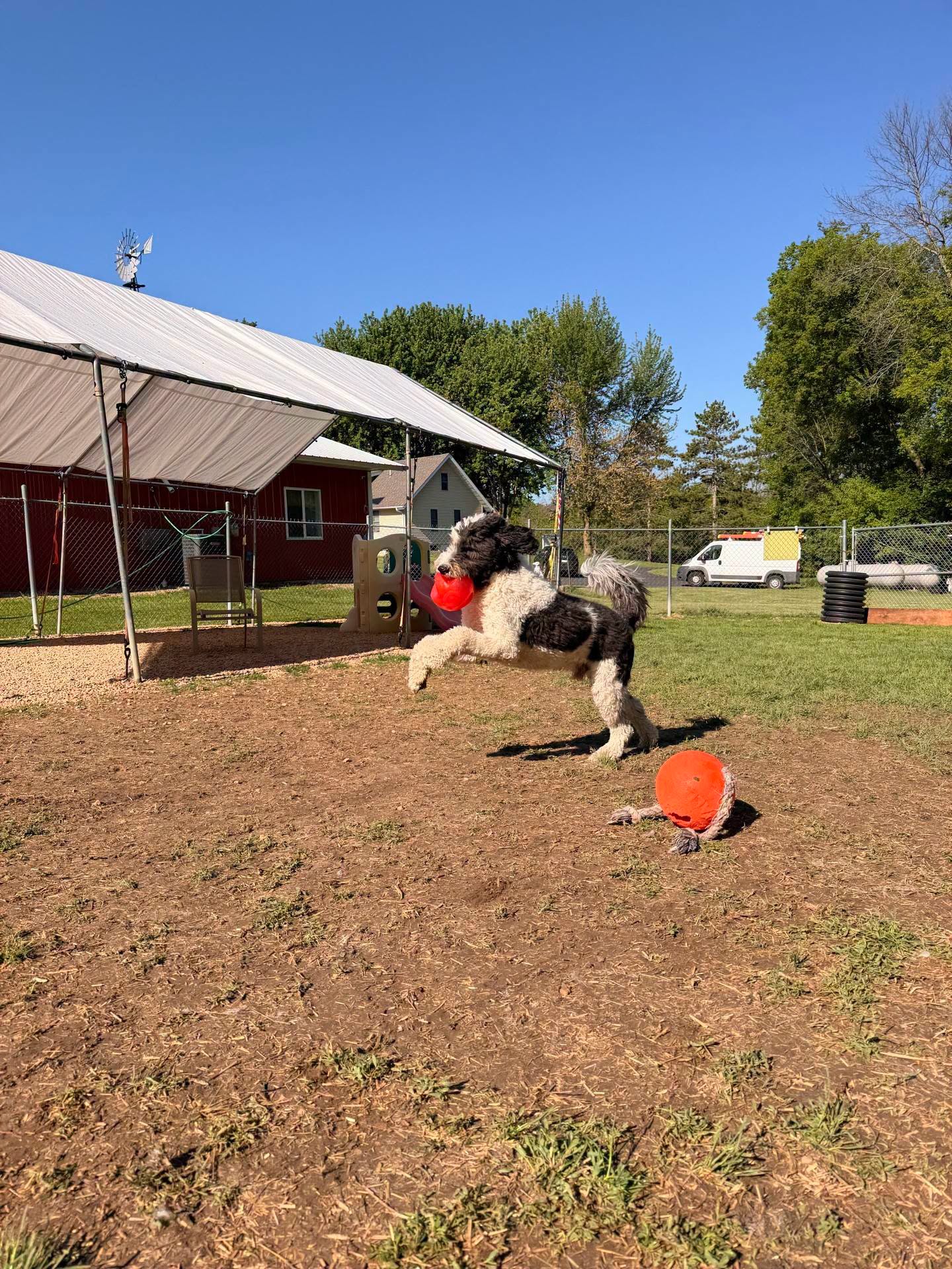 Contact Oak Ridge Pet Boarding