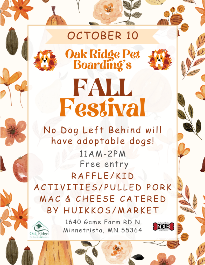 Fall Festival updated